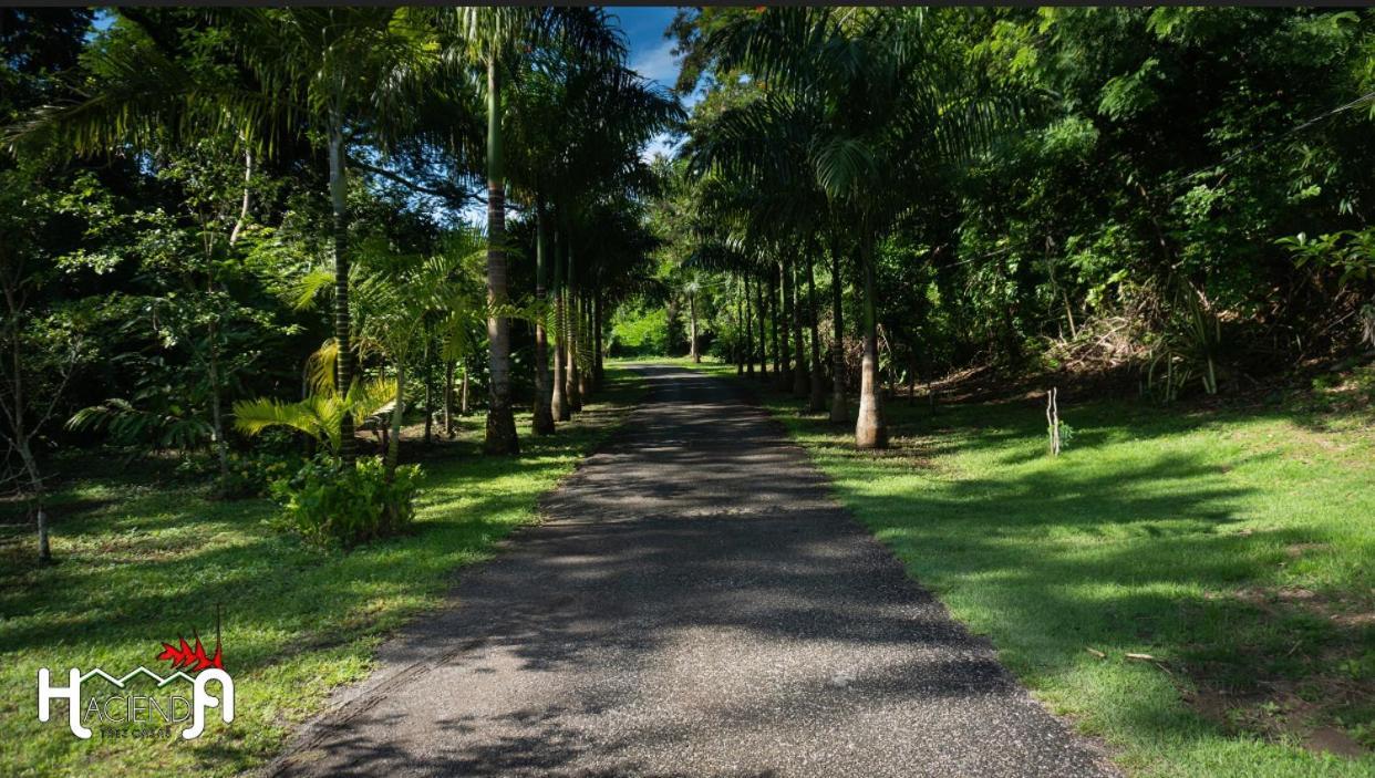 Hacienda Tres Casitas Pension Cabo Rojo Buitenkant foto