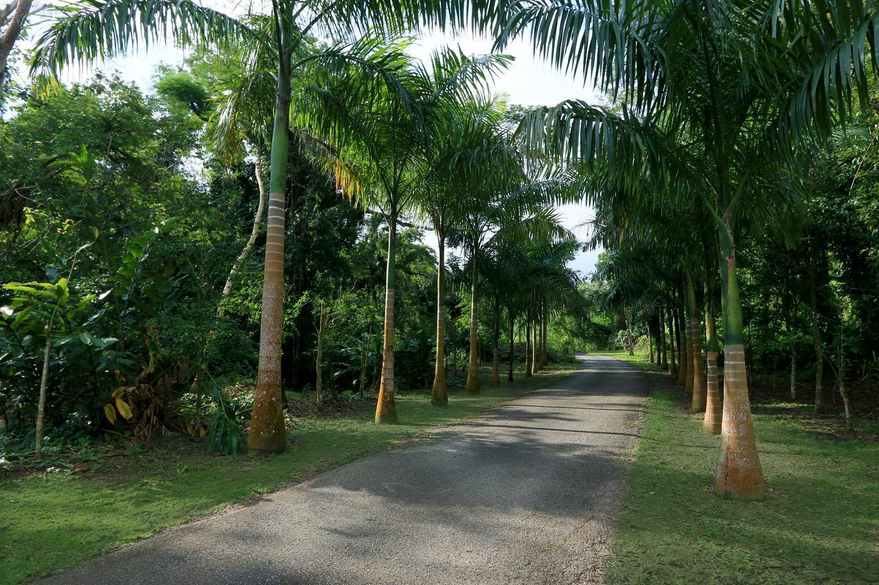 Hacienda Tres Casitas Pension Cabo Rojo Buitenkant foto